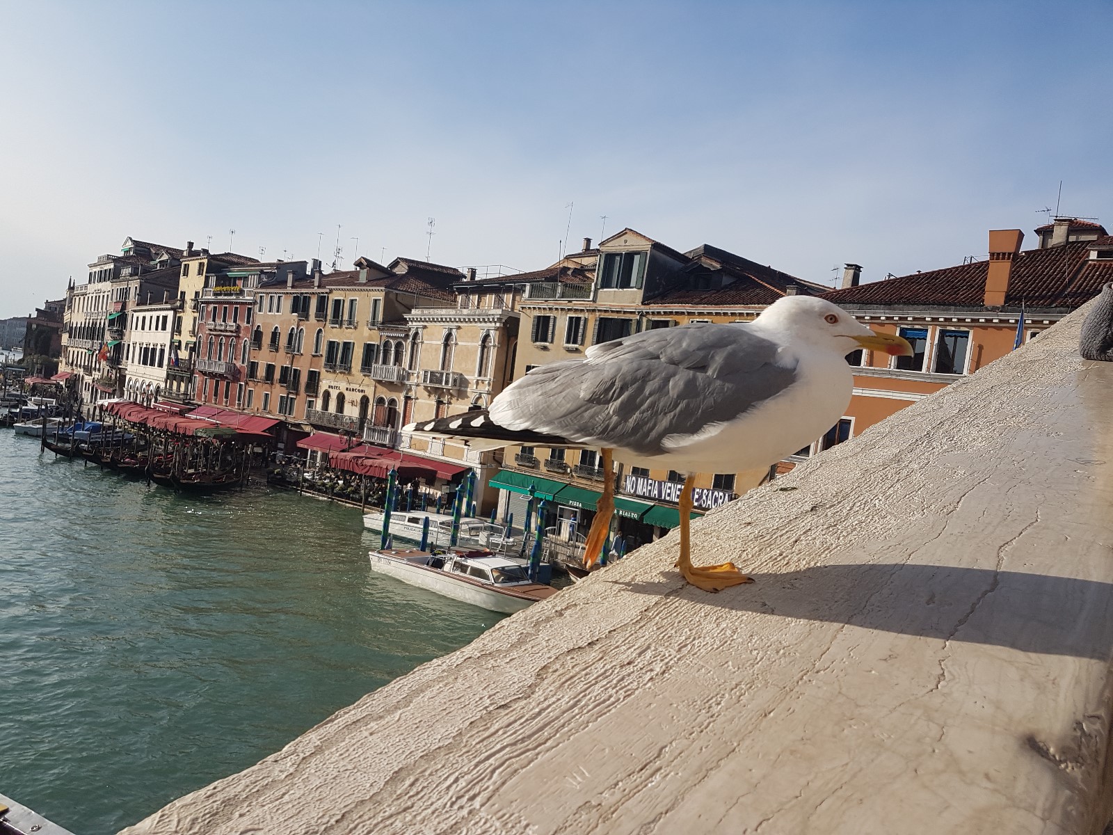 2019 11 16 Venedig