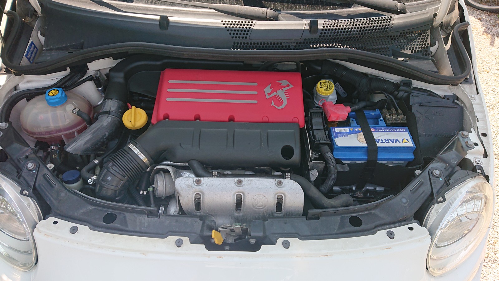 DSC 0003 1728130981175