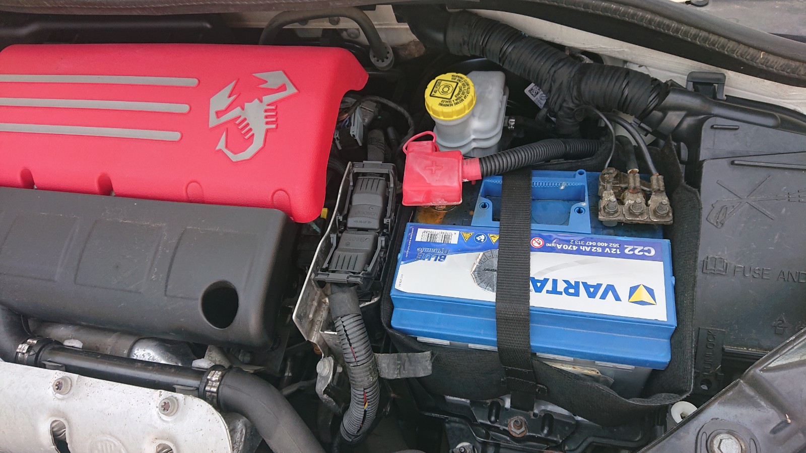 DSC 0004 1728130977594