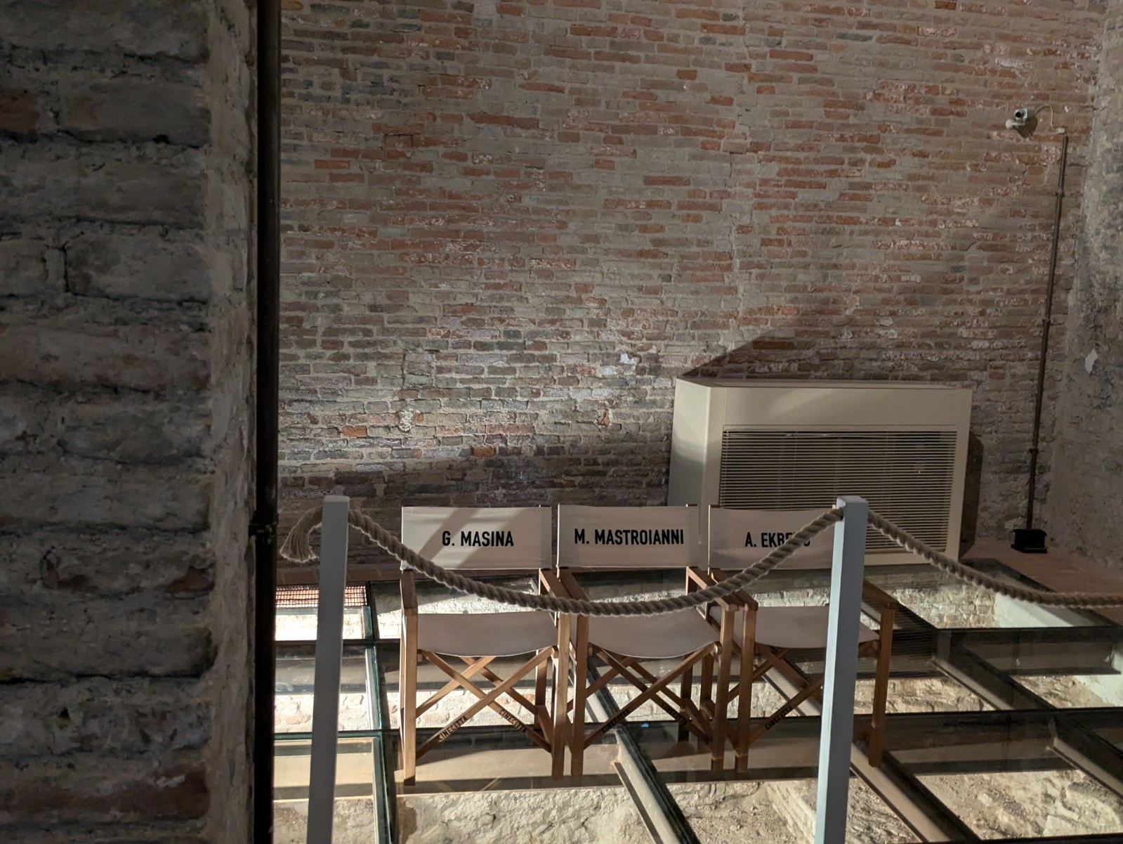 PXL 20240613 093644766