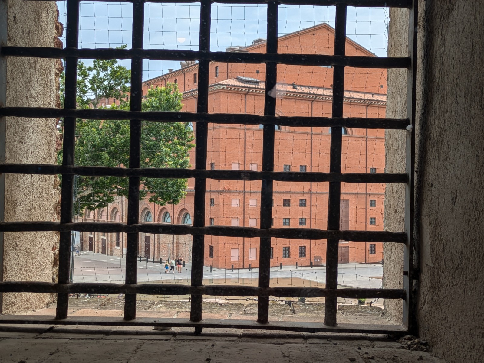 PXL 20240613 095132587