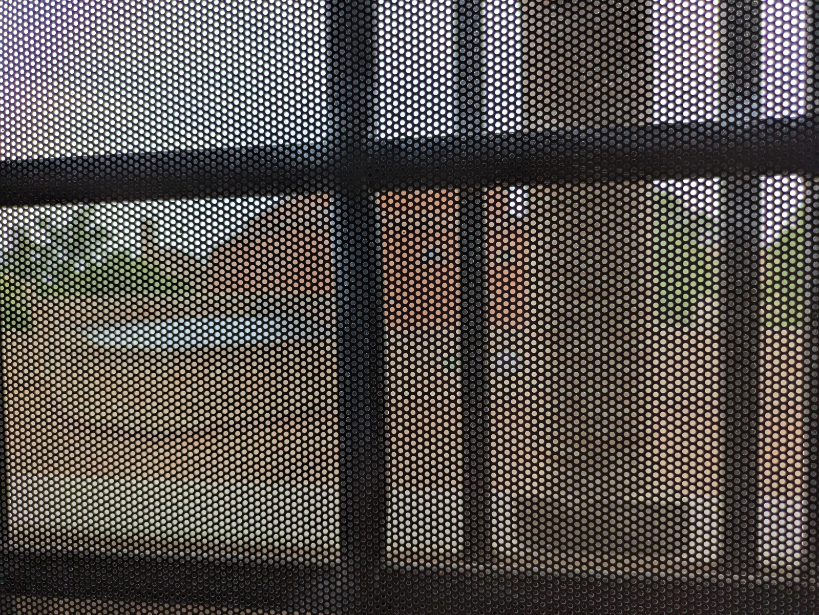 PXL 20240613 101346137