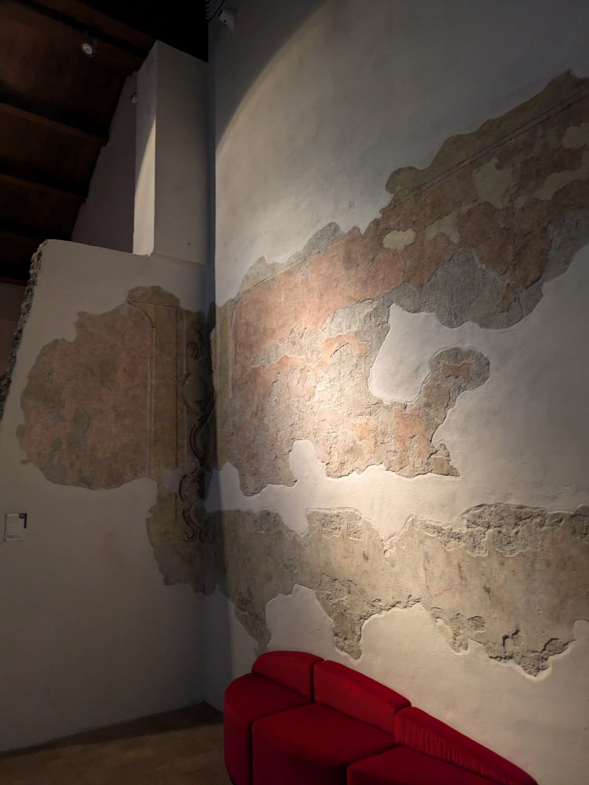 PXL 20240613 101422959