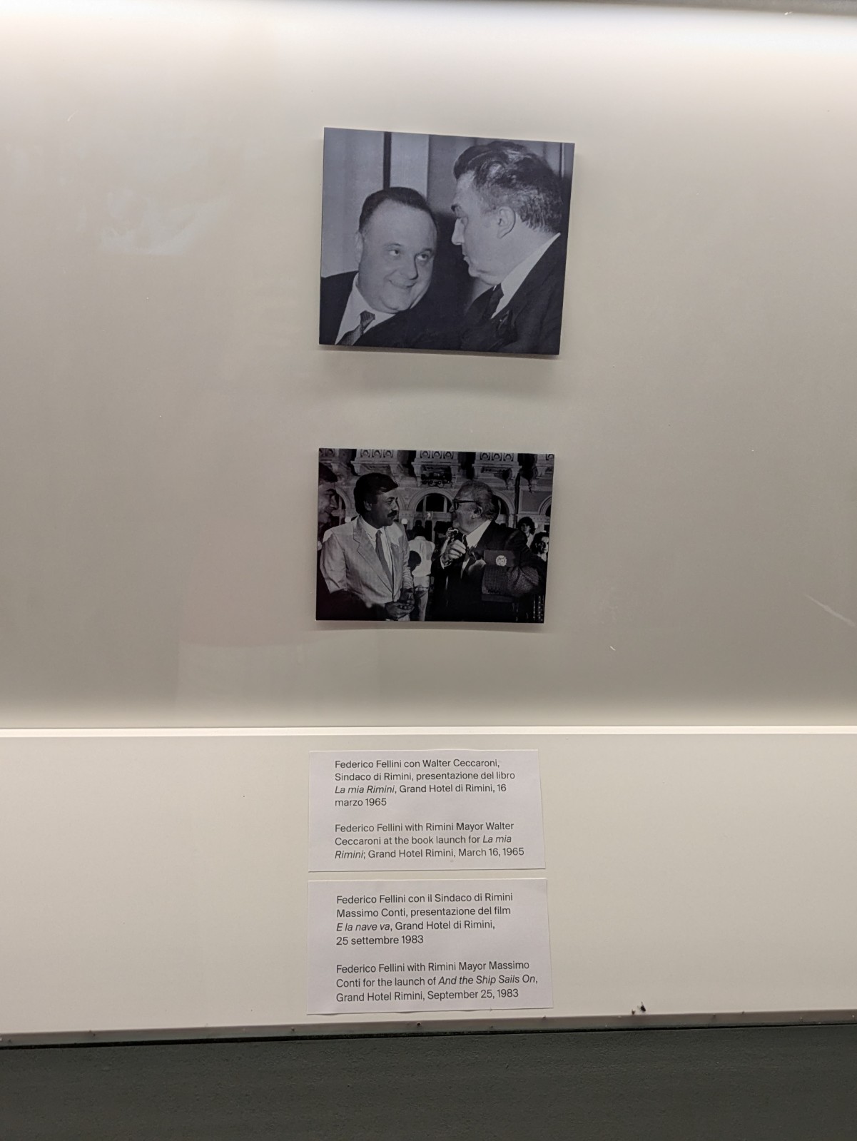 PXL 20240613 102039785.MP