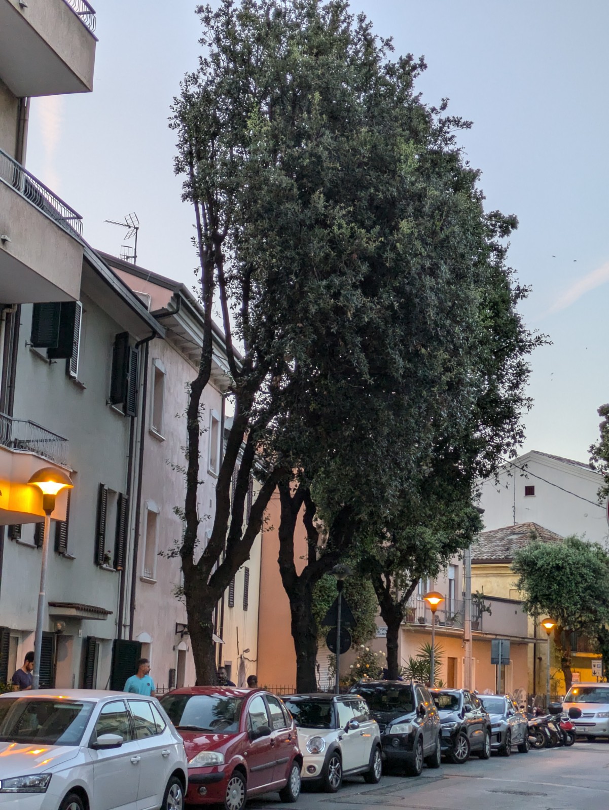 PXL 20240615 185539235