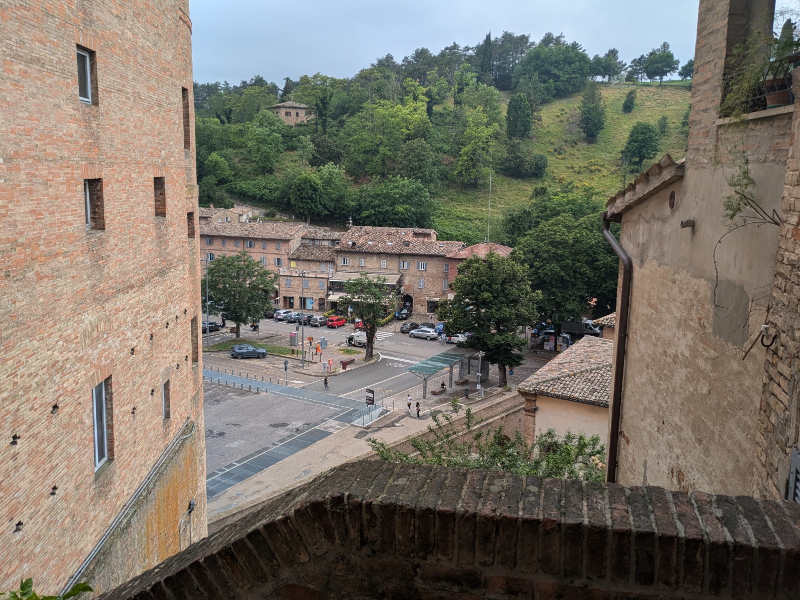 PXL 20240624 091411397