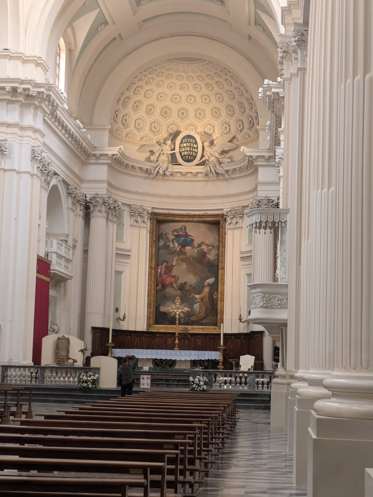 PXL 20240624 093418724