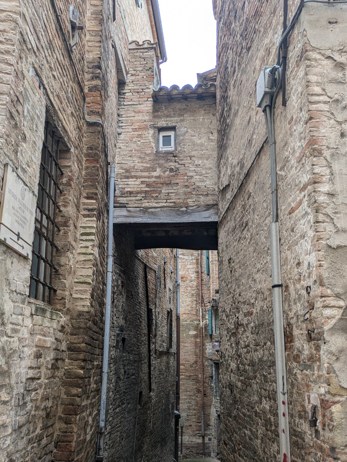 PXL 20240624 100223010