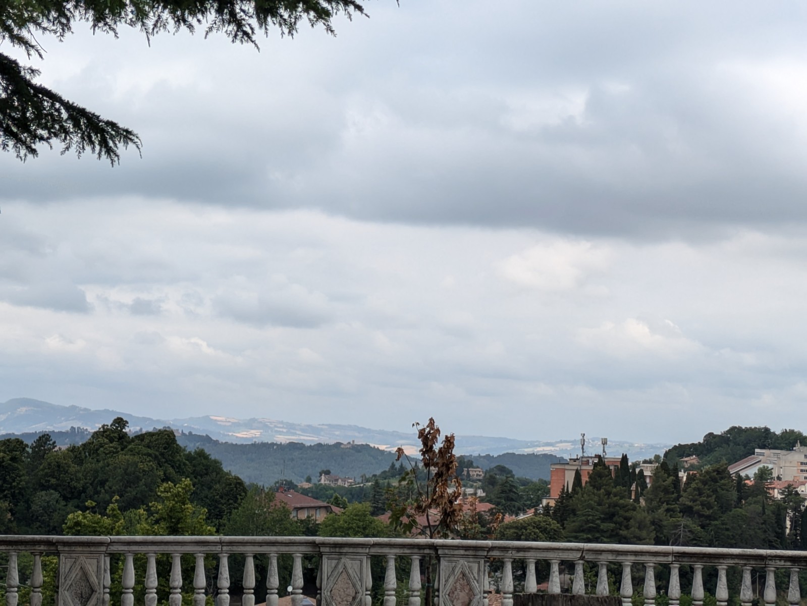 PXL 20240624 114214099