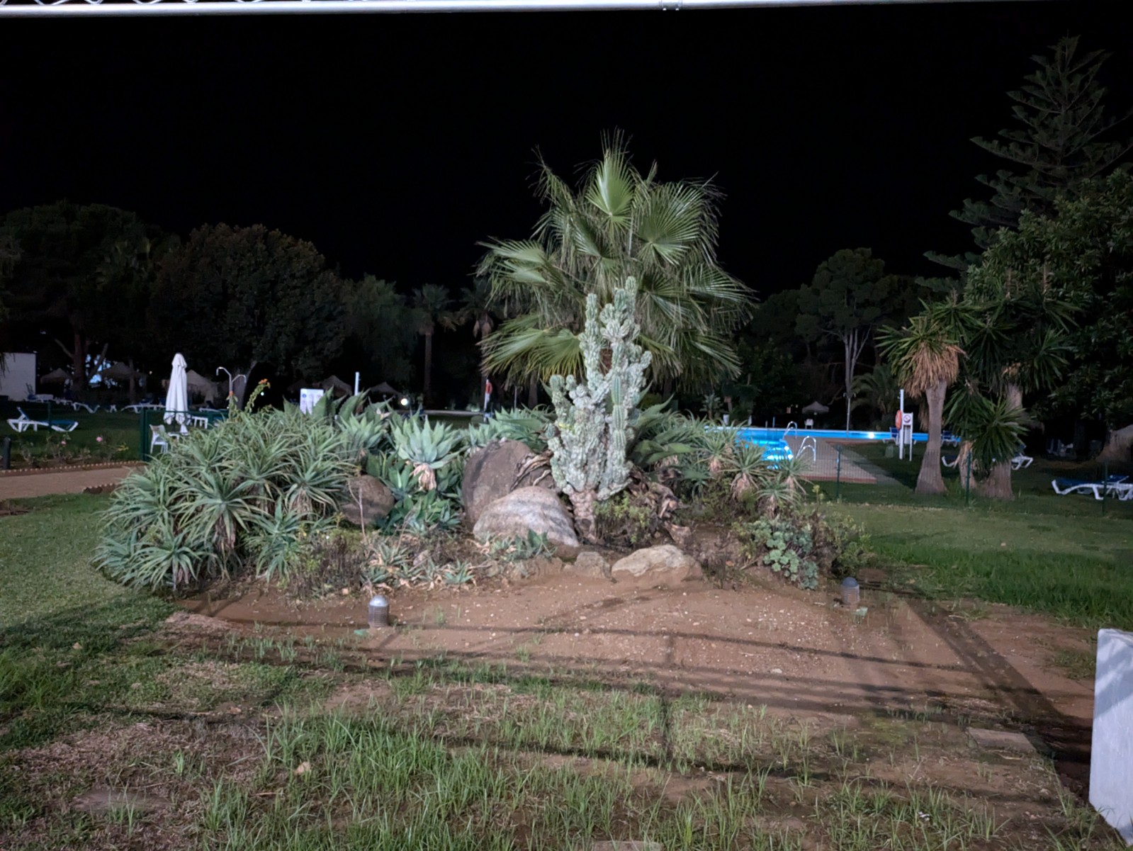 PXL 20241022 201246605