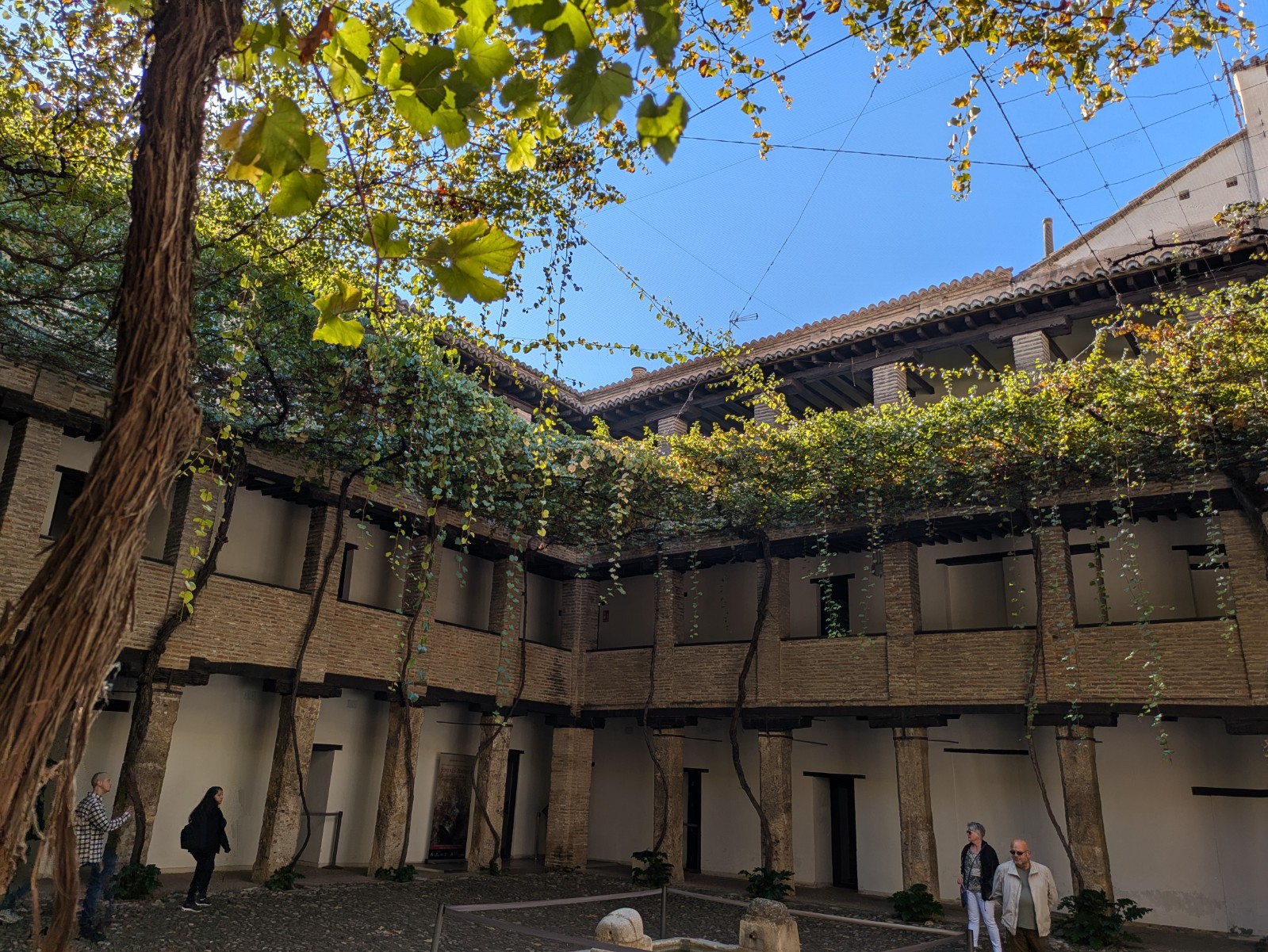 PXL 20241023 095840855