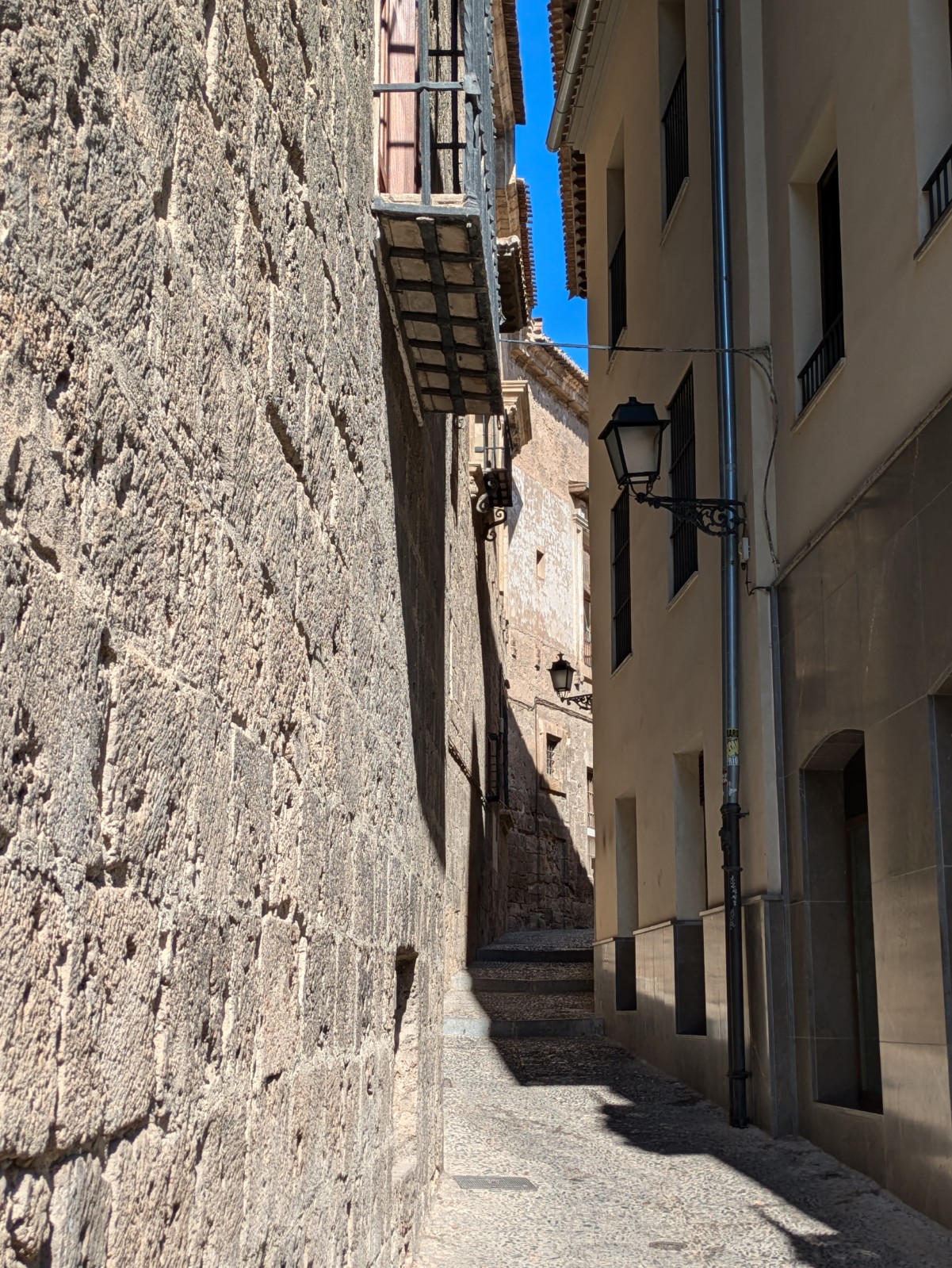 PXL 20241023 102050985