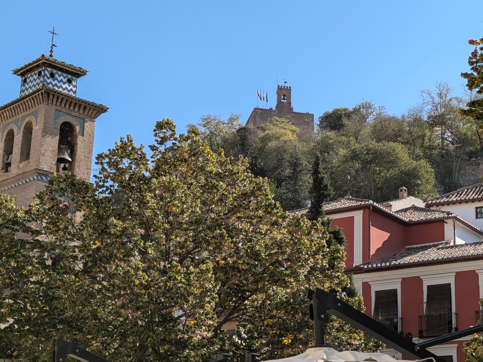 PXL 20241023 102134604