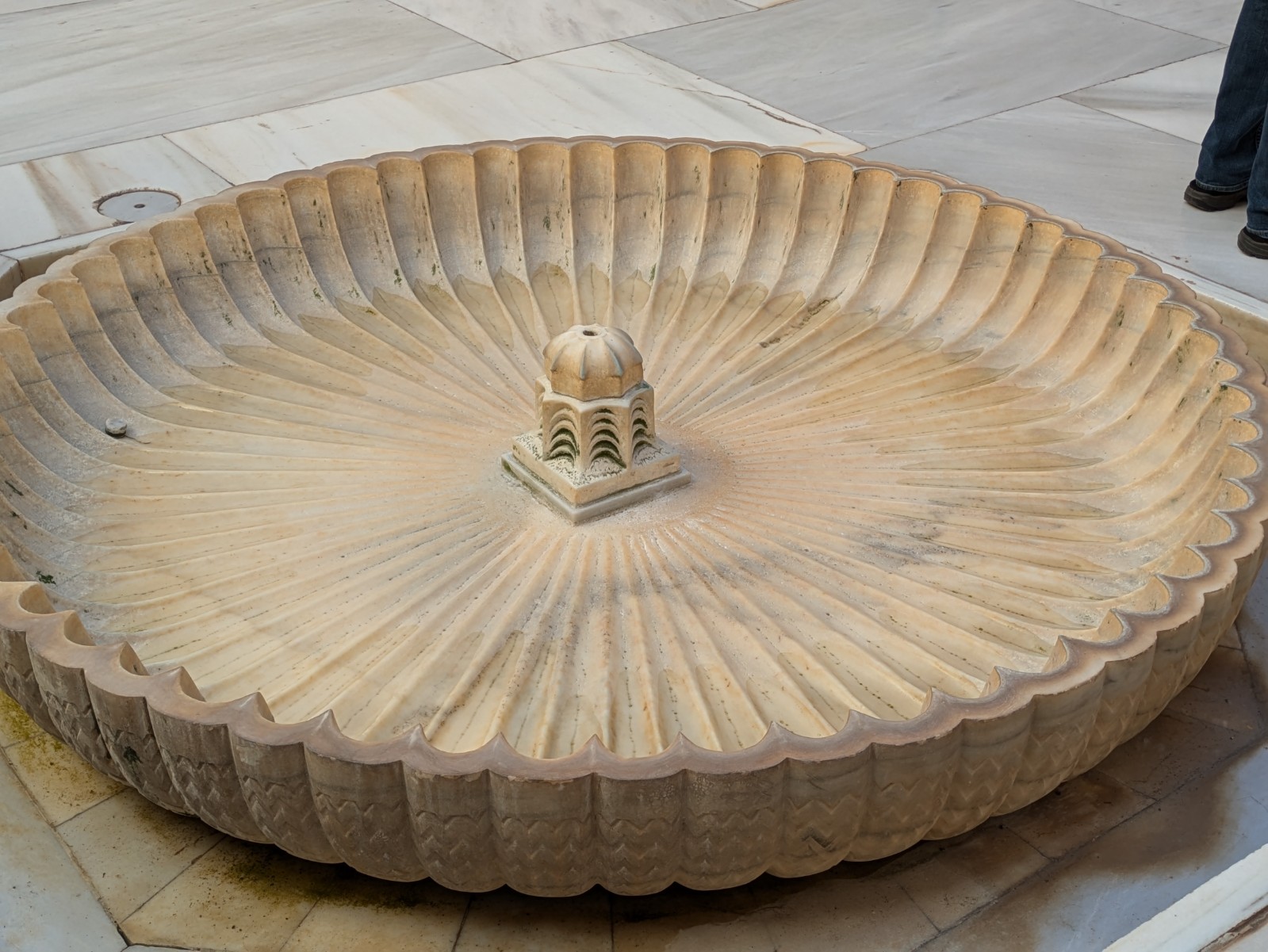 PXL 20241023 131127240