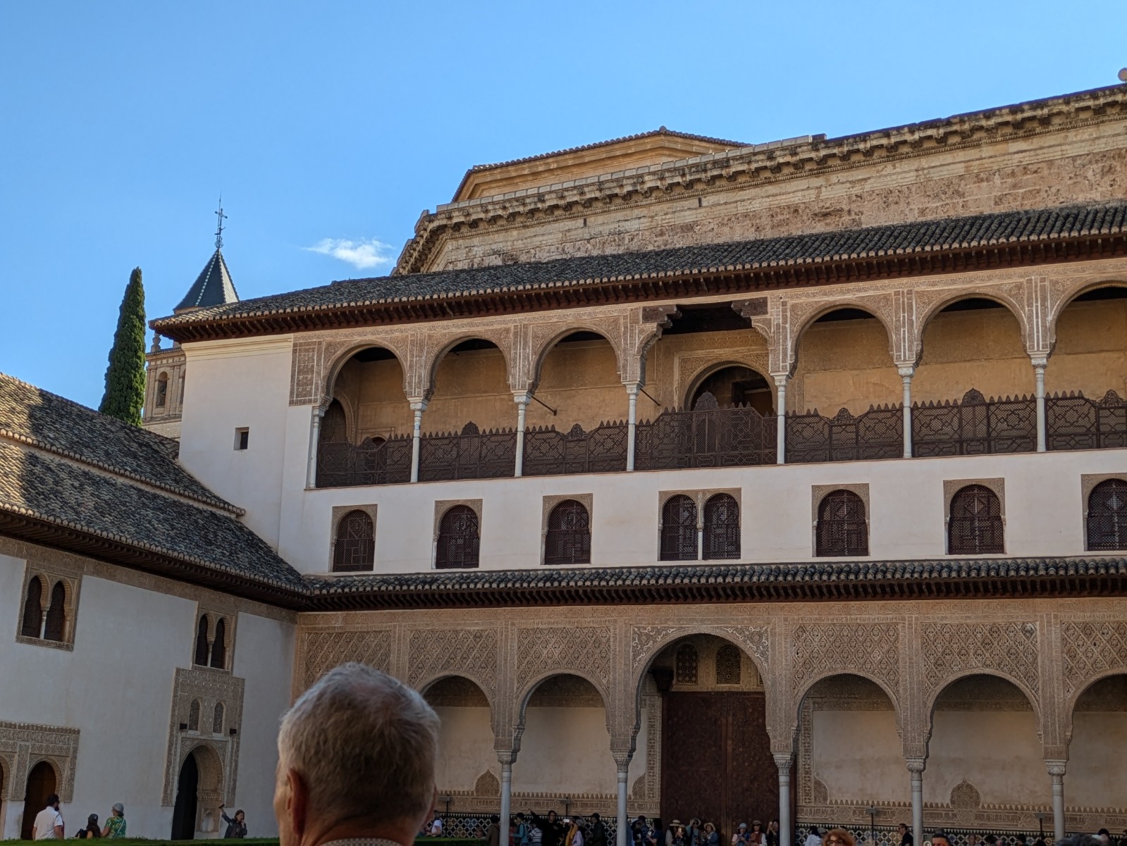 PXL 20241023 131449410