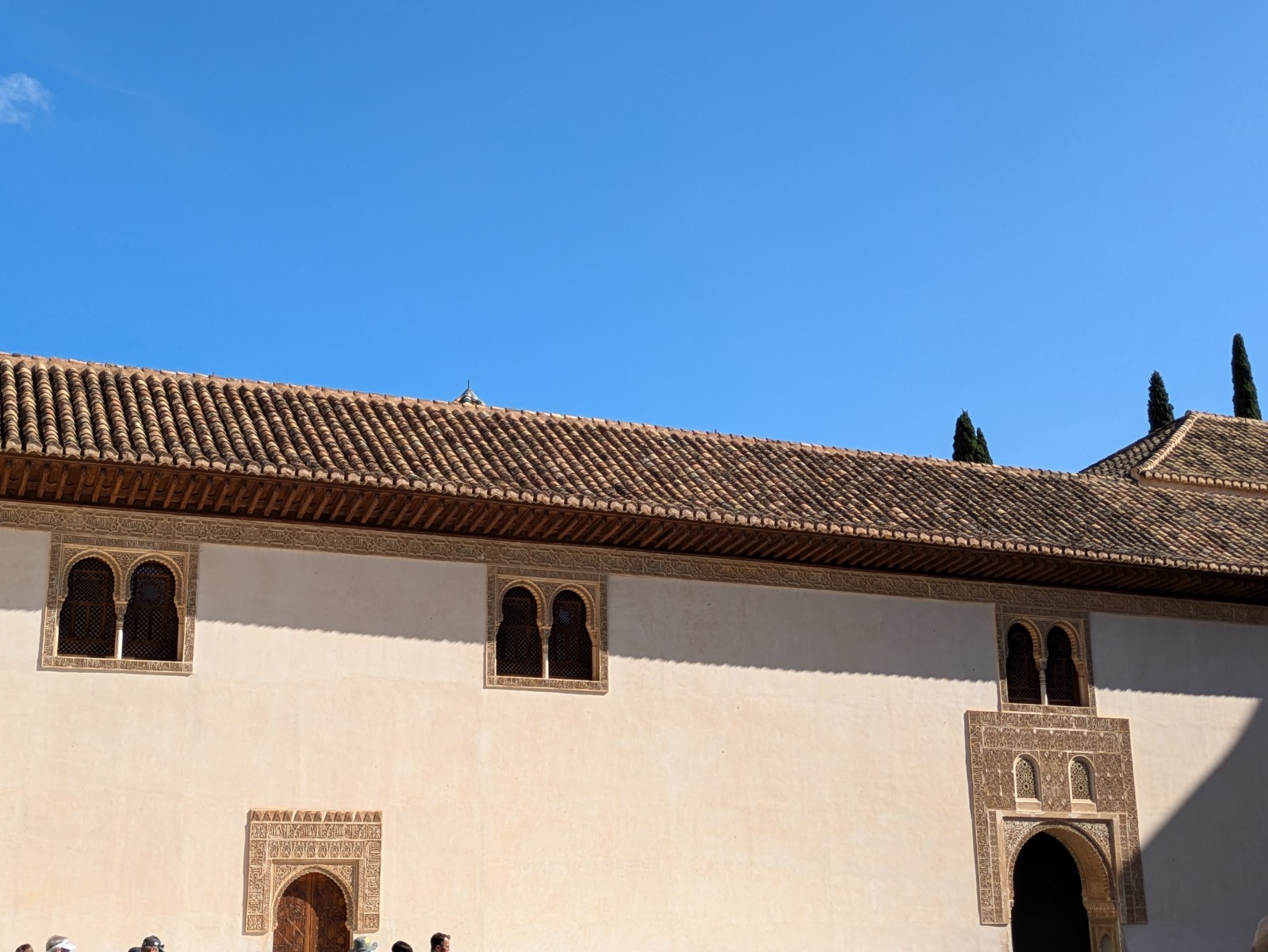 PXL 20241023 131506637