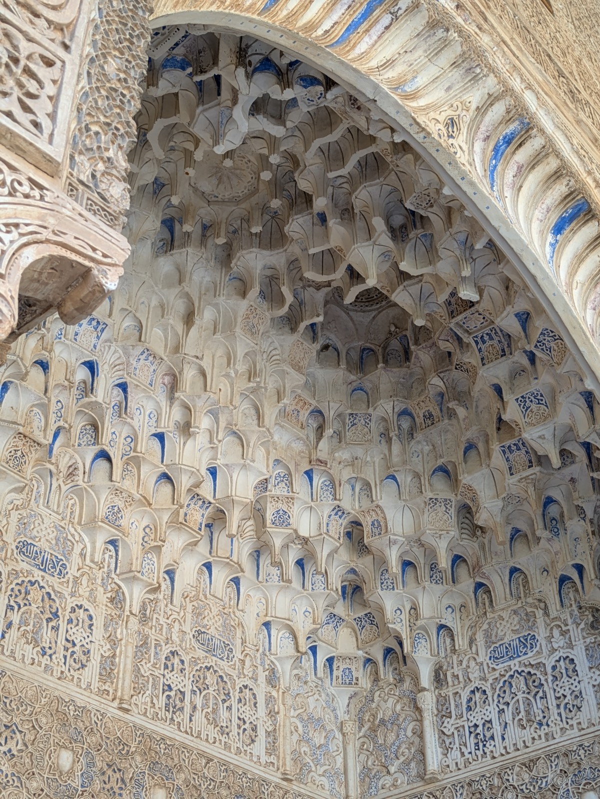 PXL 20241023 131521522