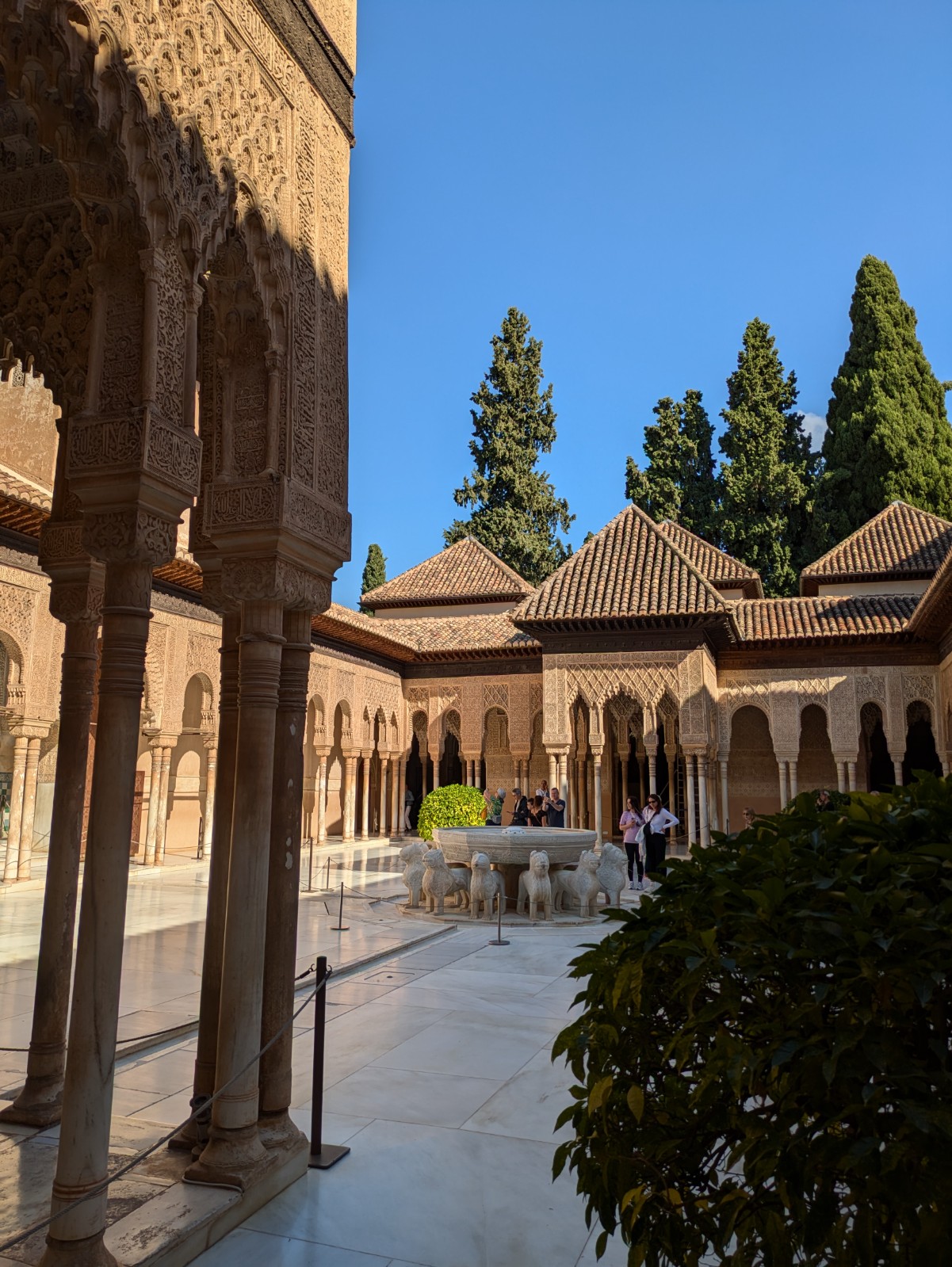 PXL 20241023 133341687