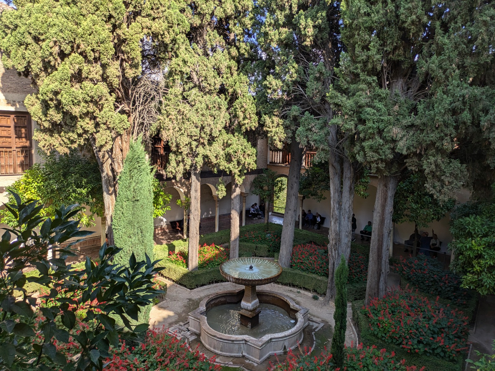 PXL 20241023 135630683