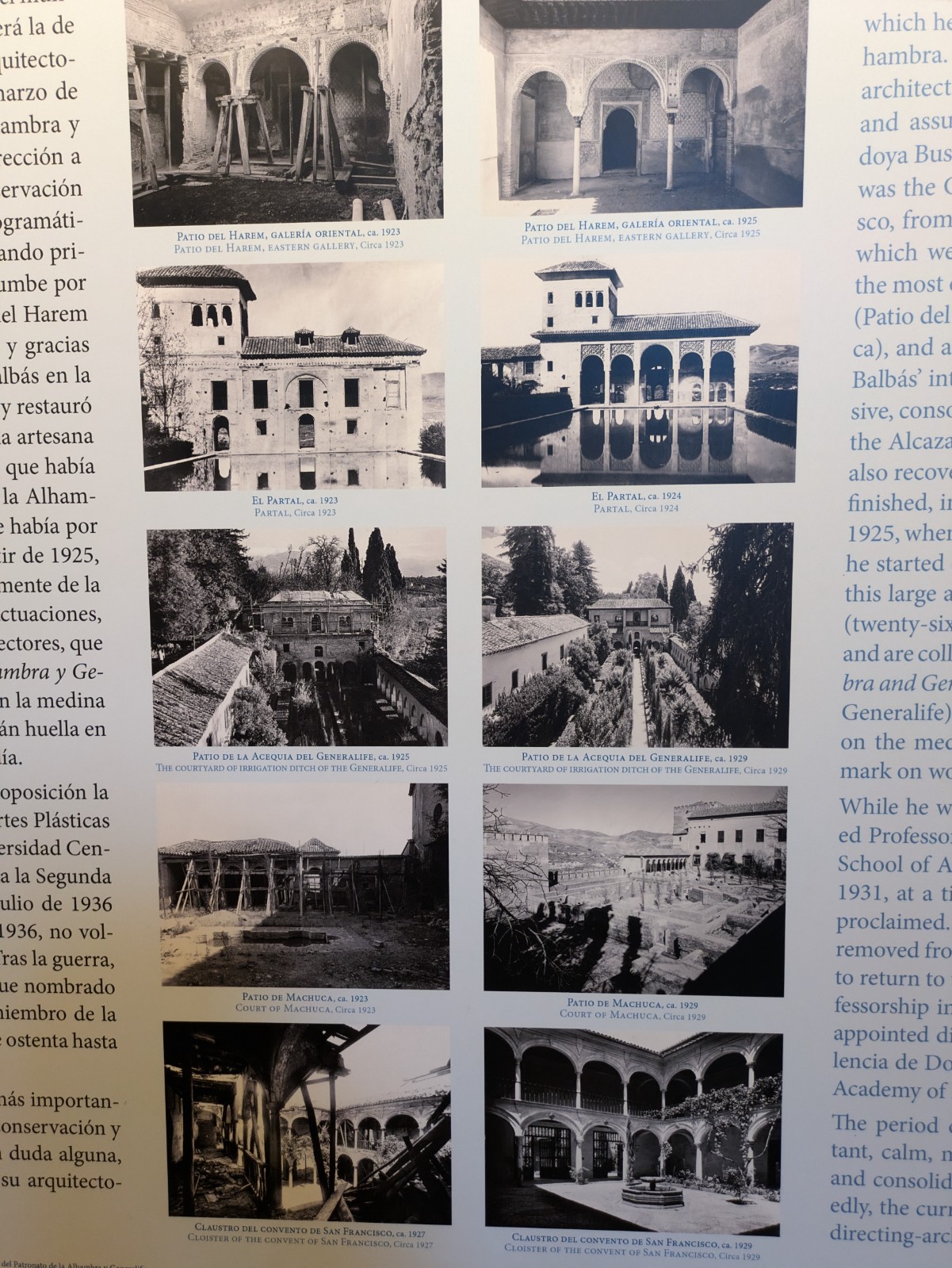 PXL 20241023 135806217