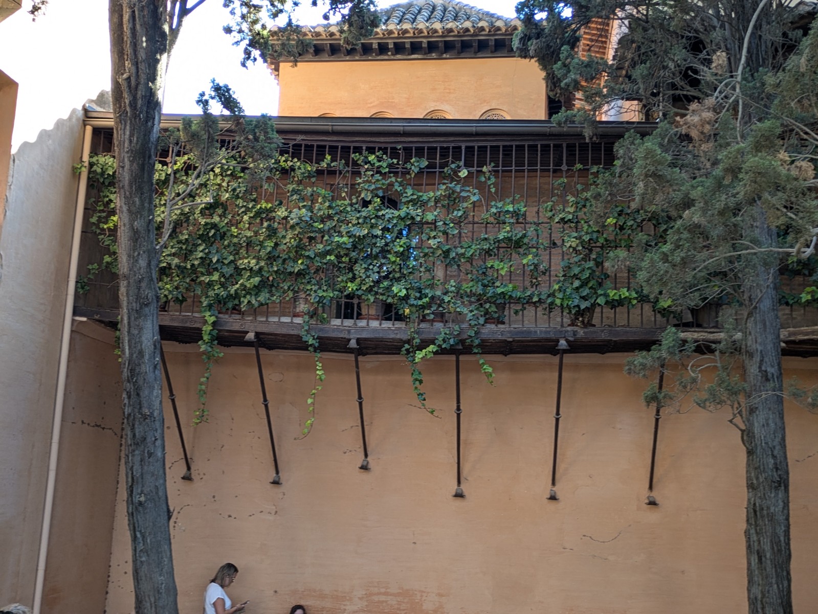 PXL 20241023 140230978