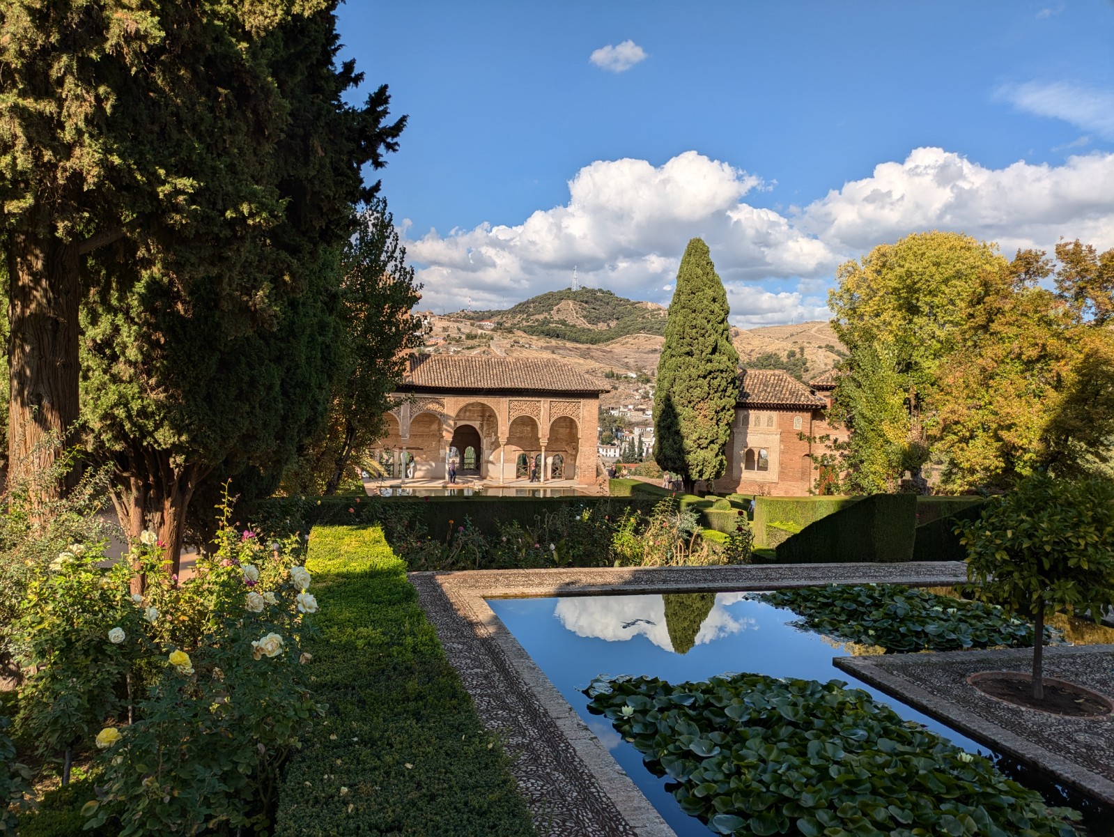 PXL 20241023 140928139