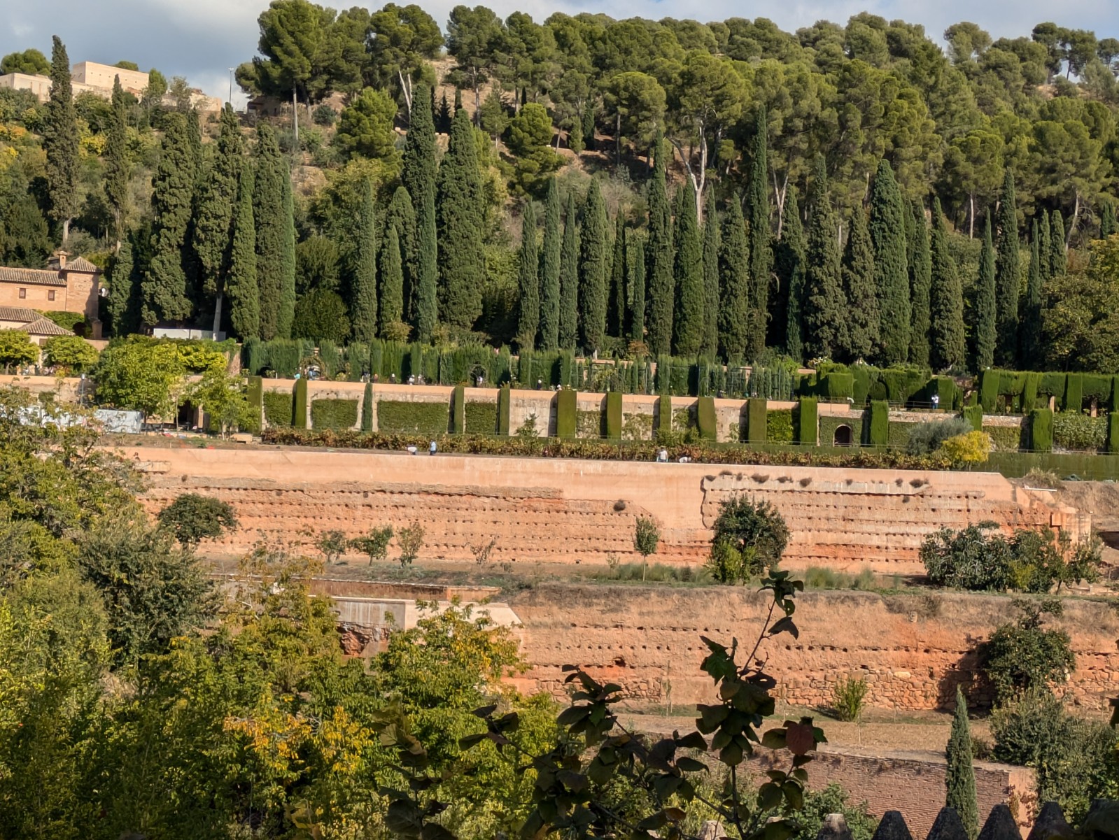 PXL 20241023 141415759