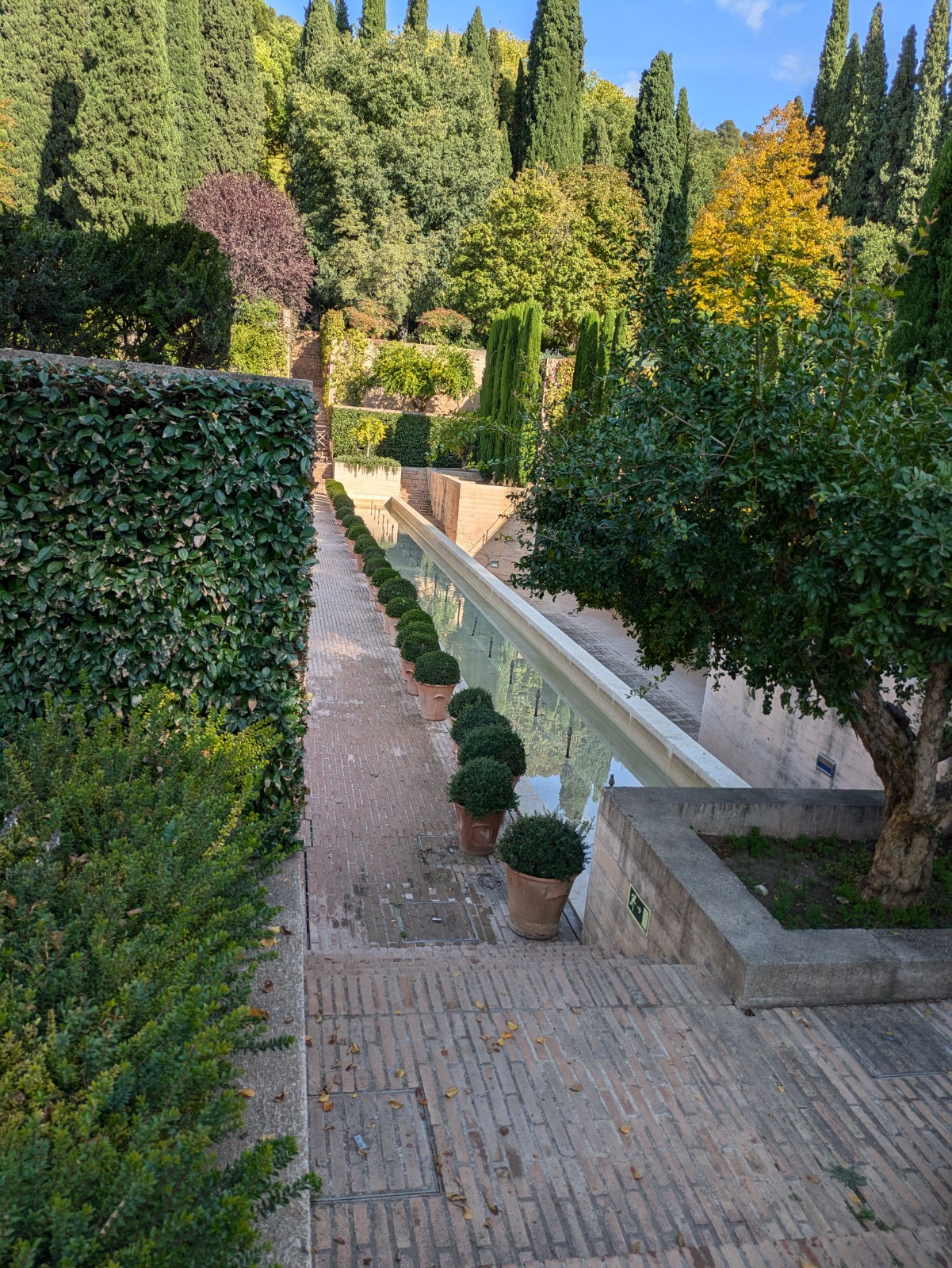 PXL 20241023 142413605