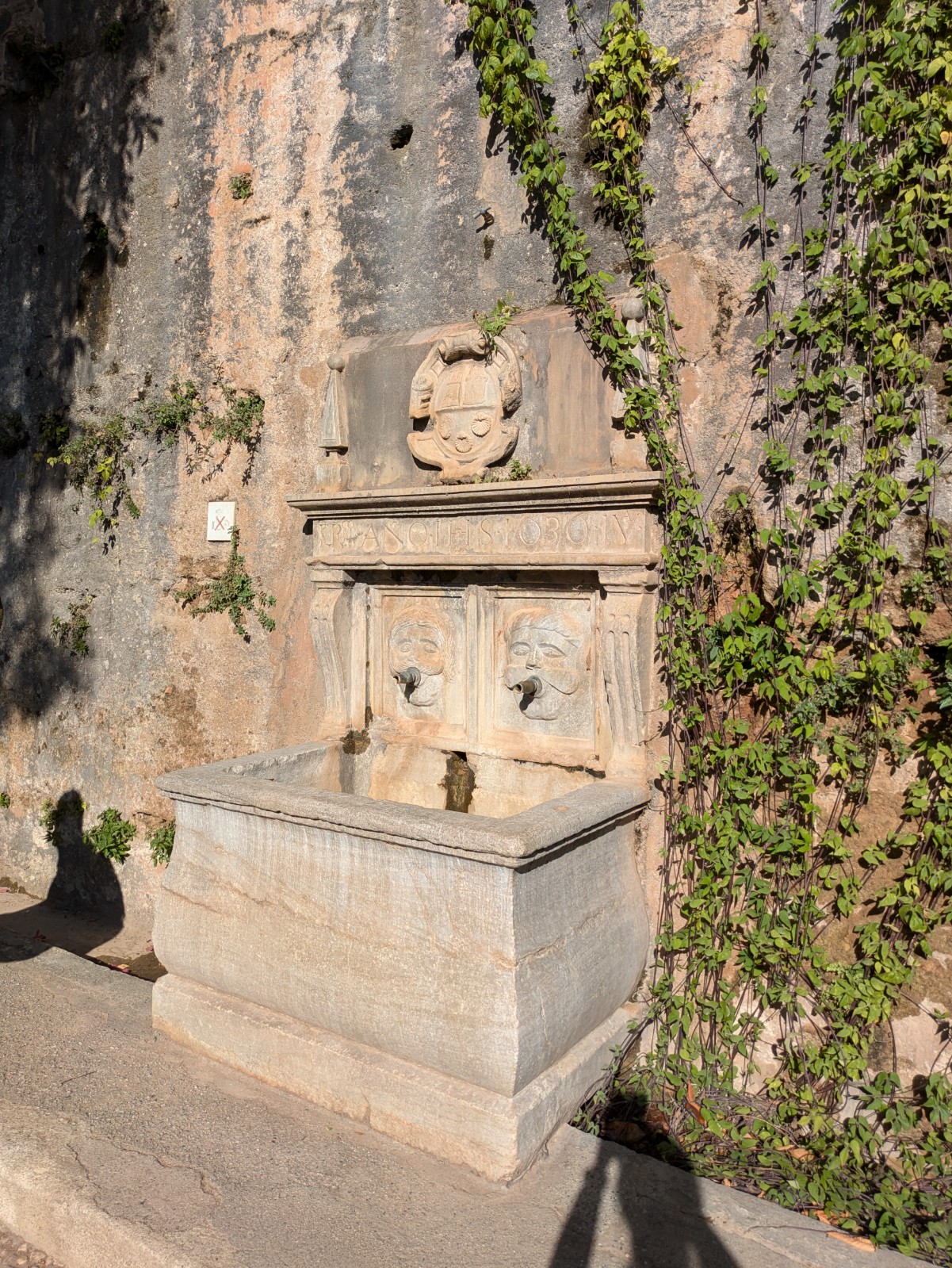 PXL 20241023 143350608