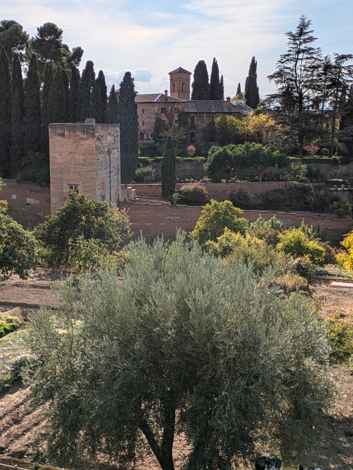 PXL 20241023 143706365.LONG EXPOSURE