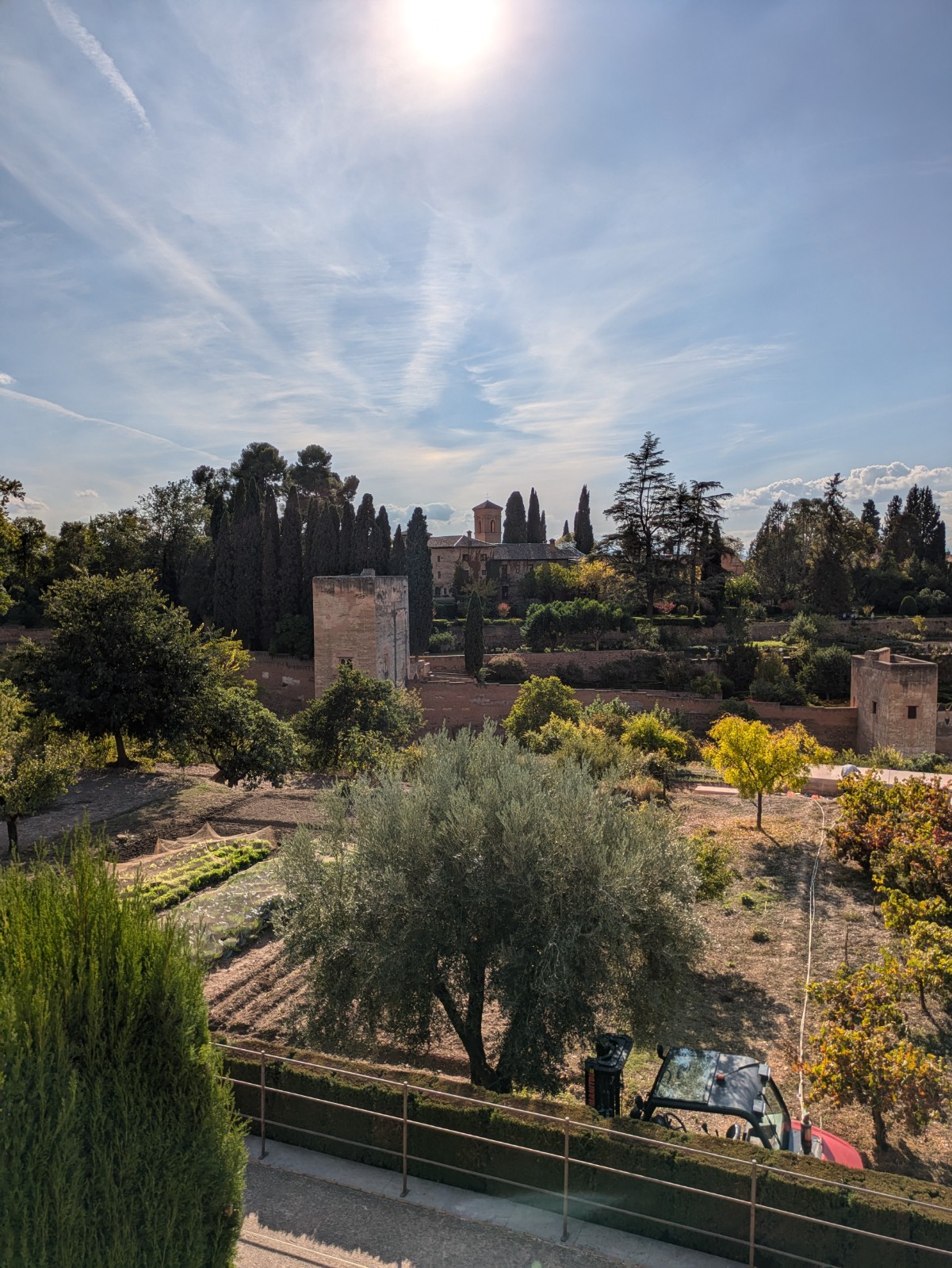 PXL 20241023 143724041