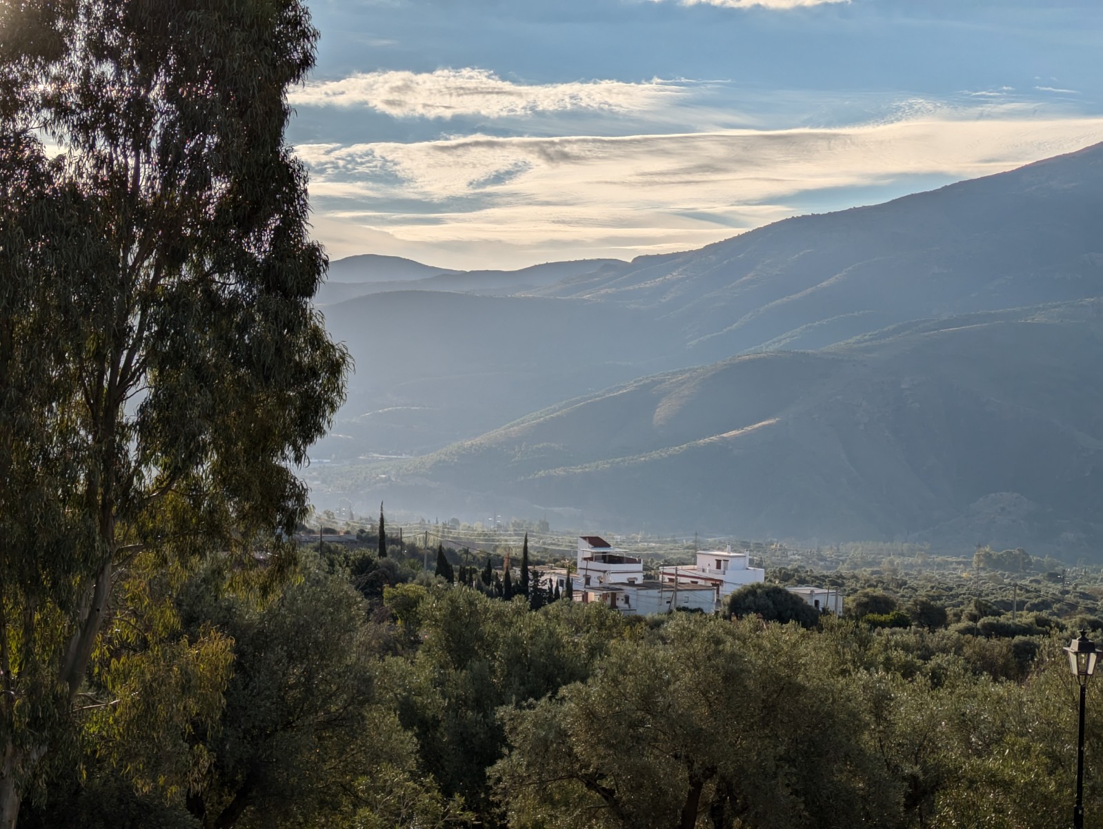 PXL 20241024 073327242