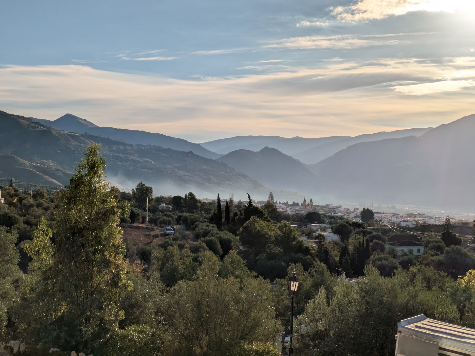 PXL 20241024 073538332