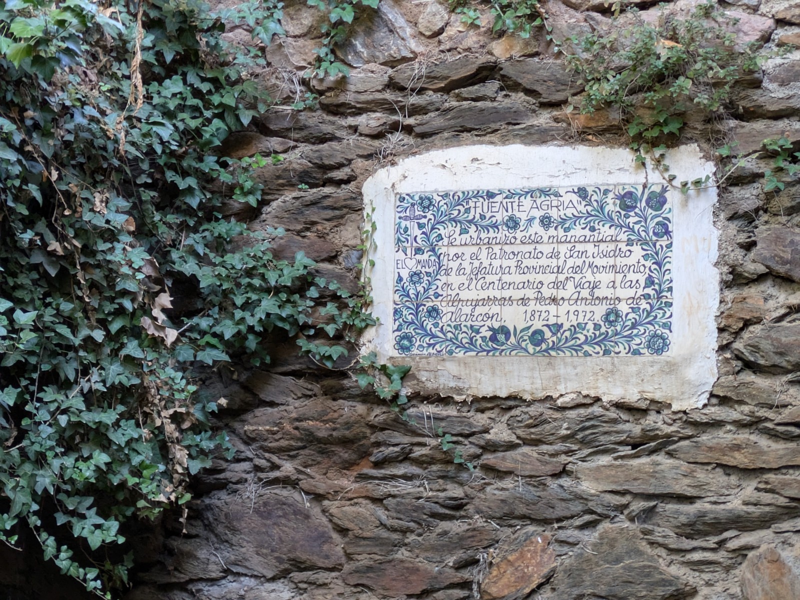 PXL 20241024 084852975