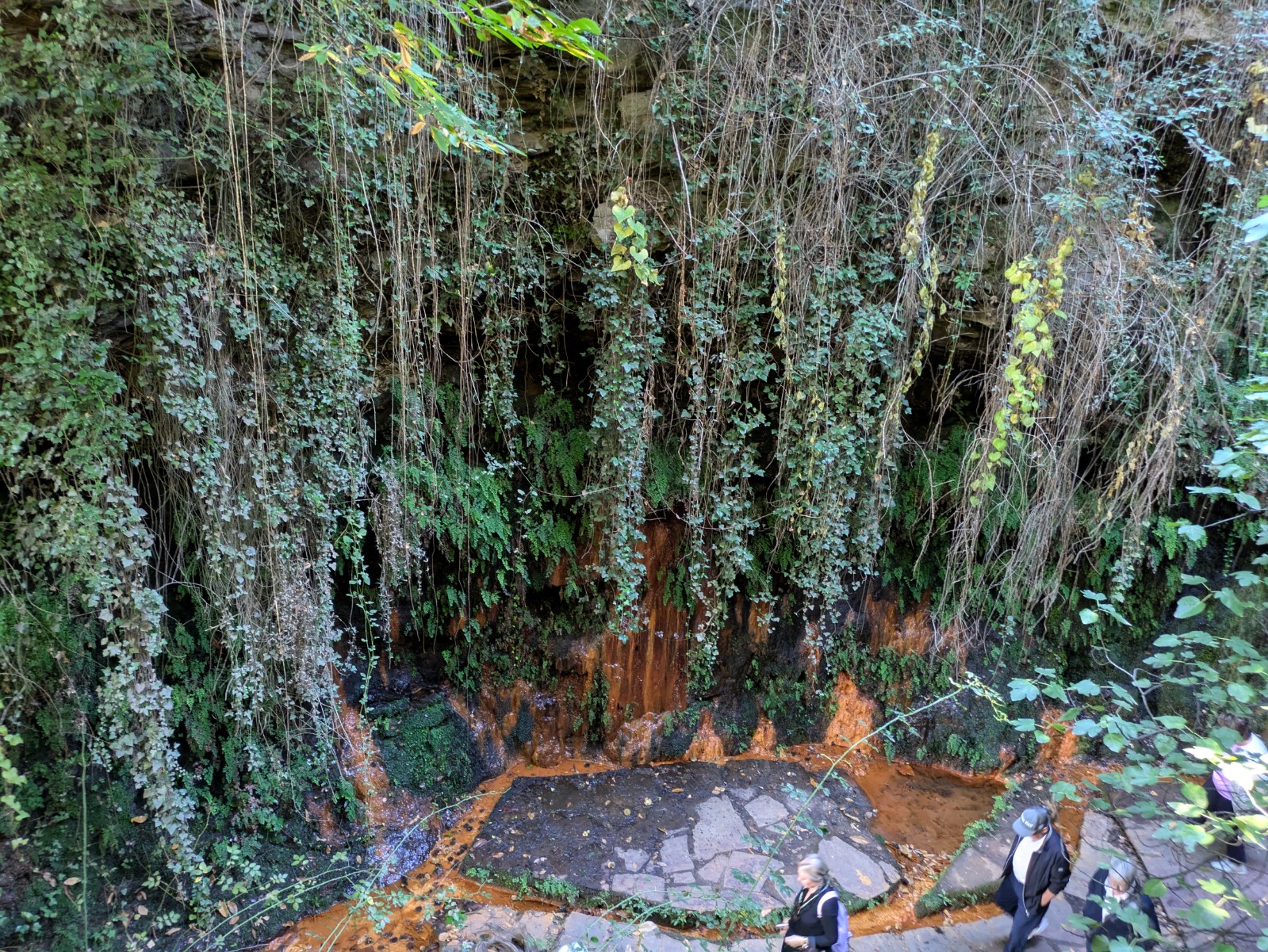 PXL 20241024 085410745