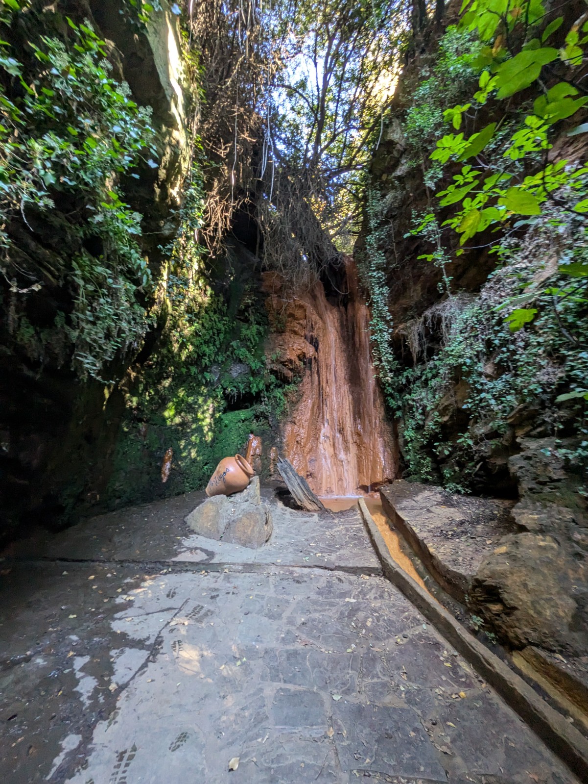 PXL 20241024 085506997