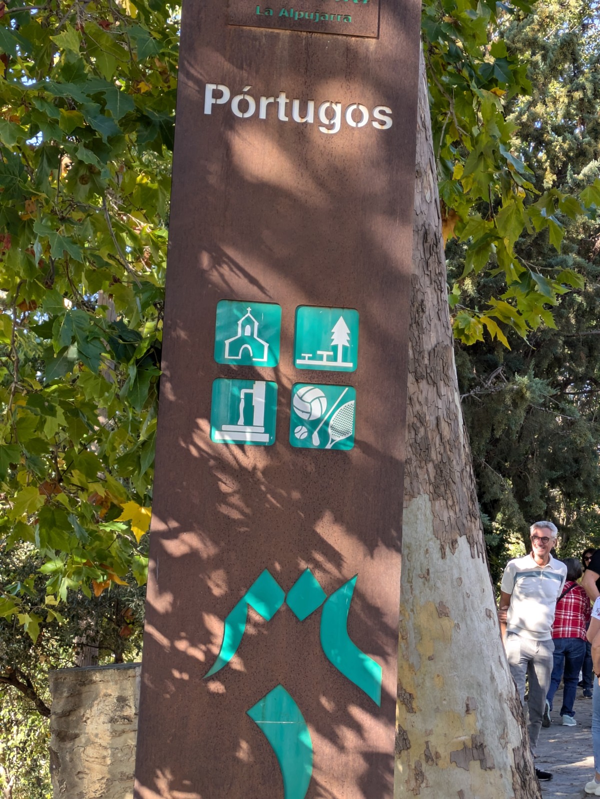 PXL 20241024 085916719