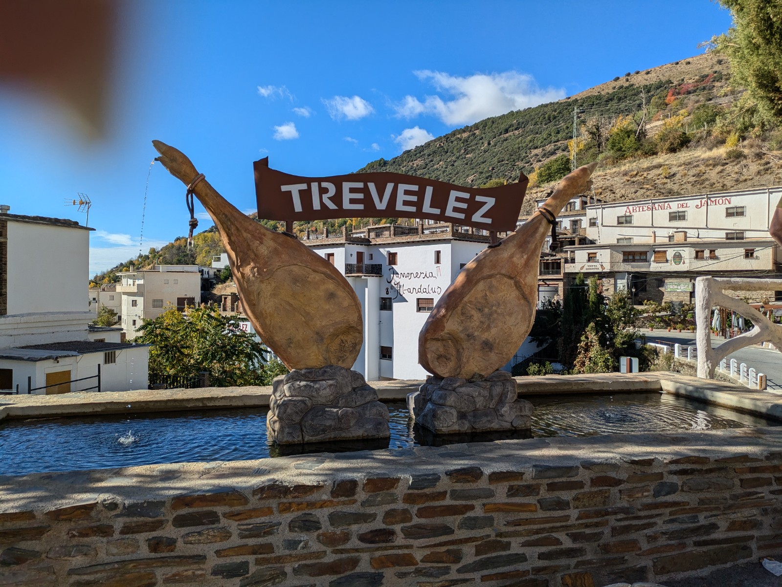 PXL 20241024 092745143