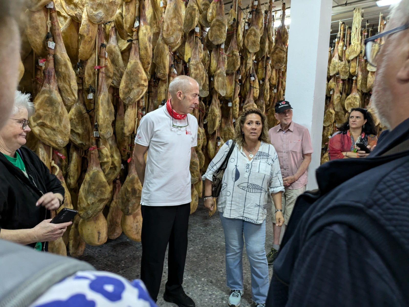 PXL 20241024 093410102