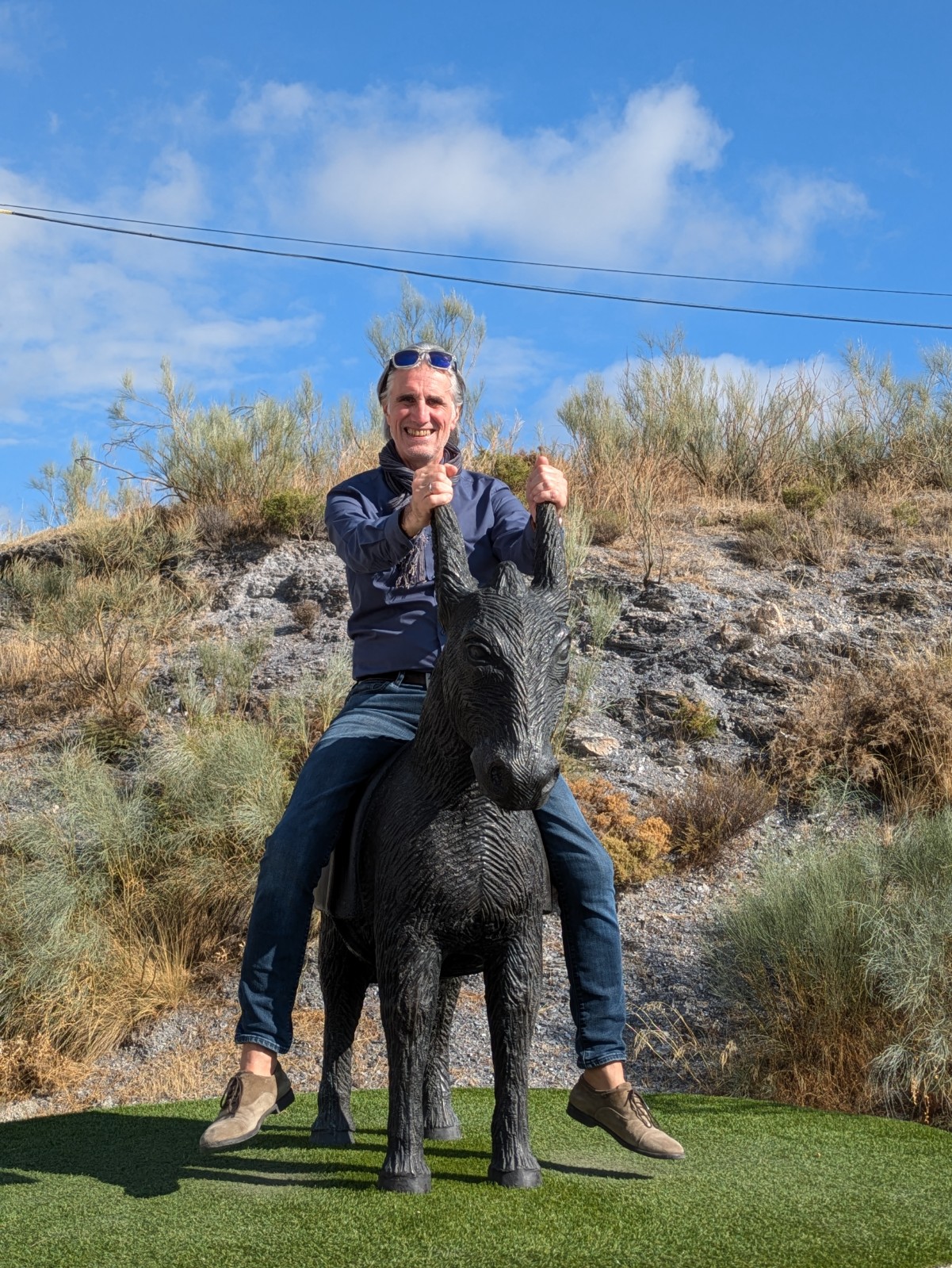 PXL 20241024 140734737