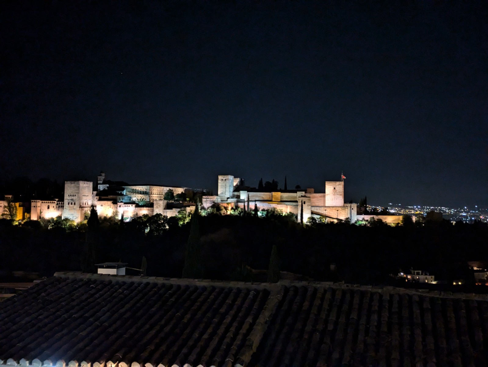 PXL 20241024 183556472