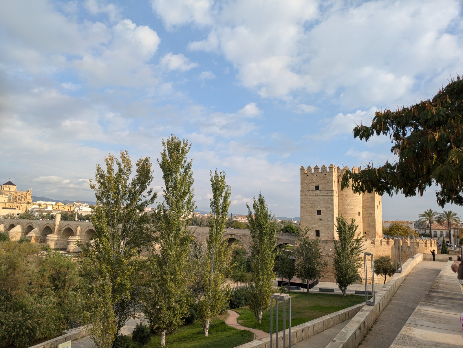 PXL 20241025 090252010