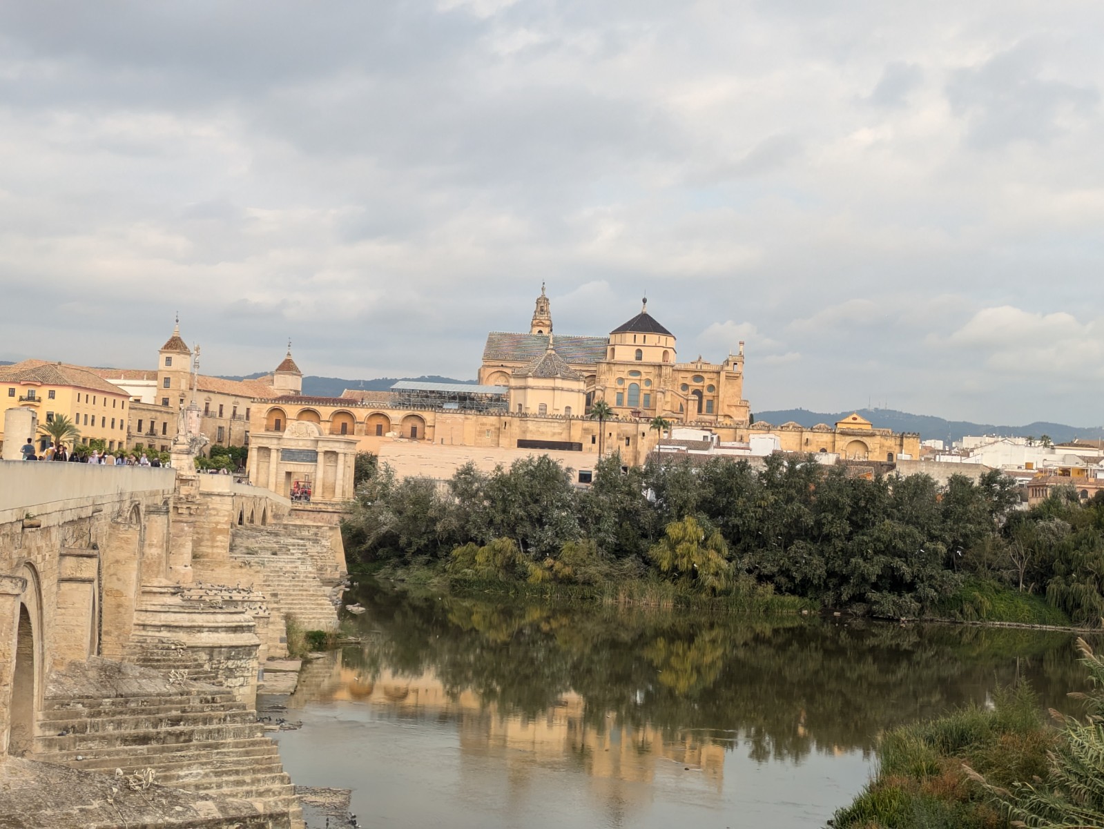 PXL 20241025 090915342