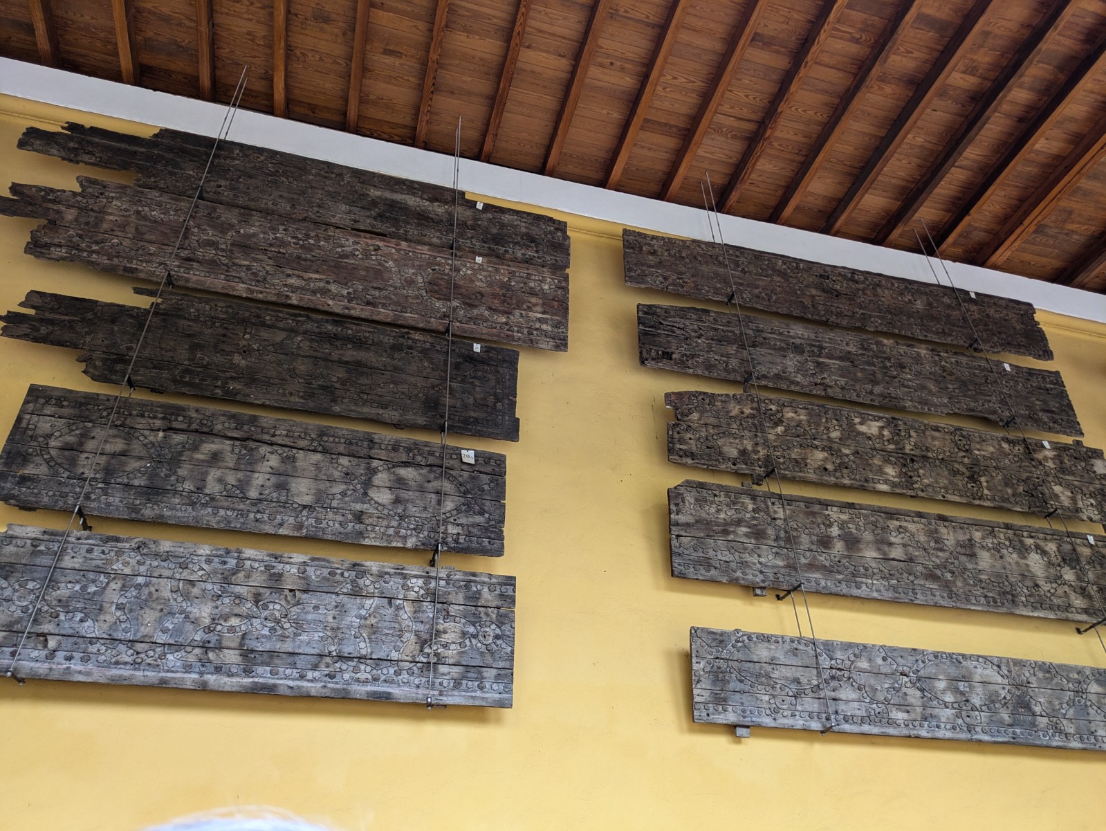 PXL 20241025 094833645