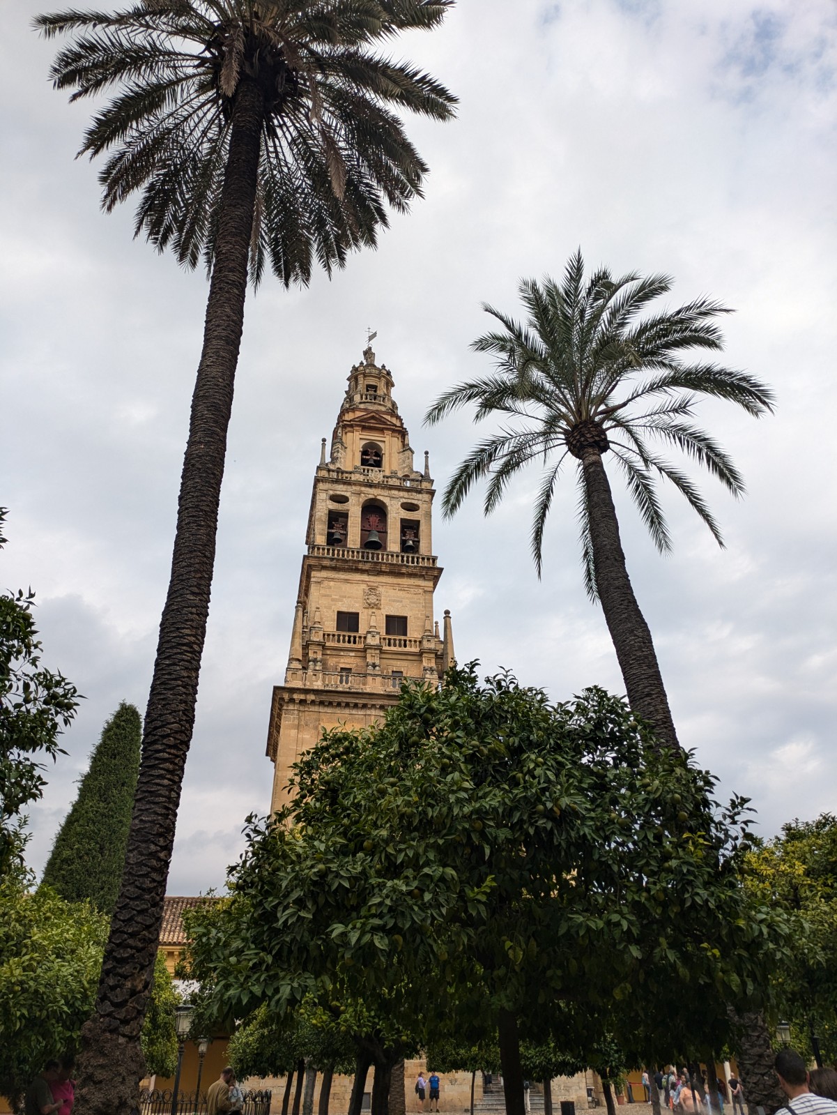 PXL 20241025 095418290