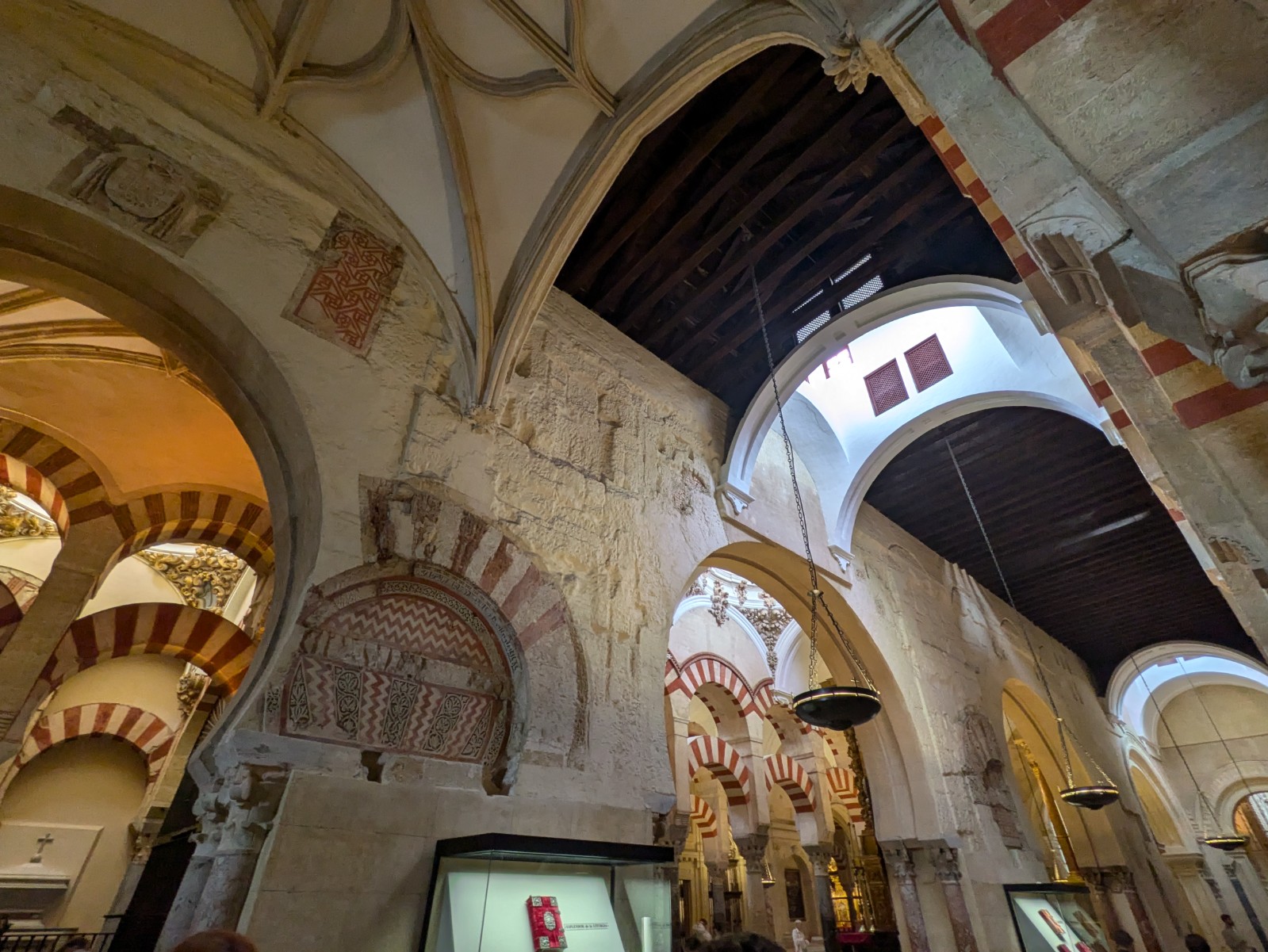 PXL 20241025 103616006