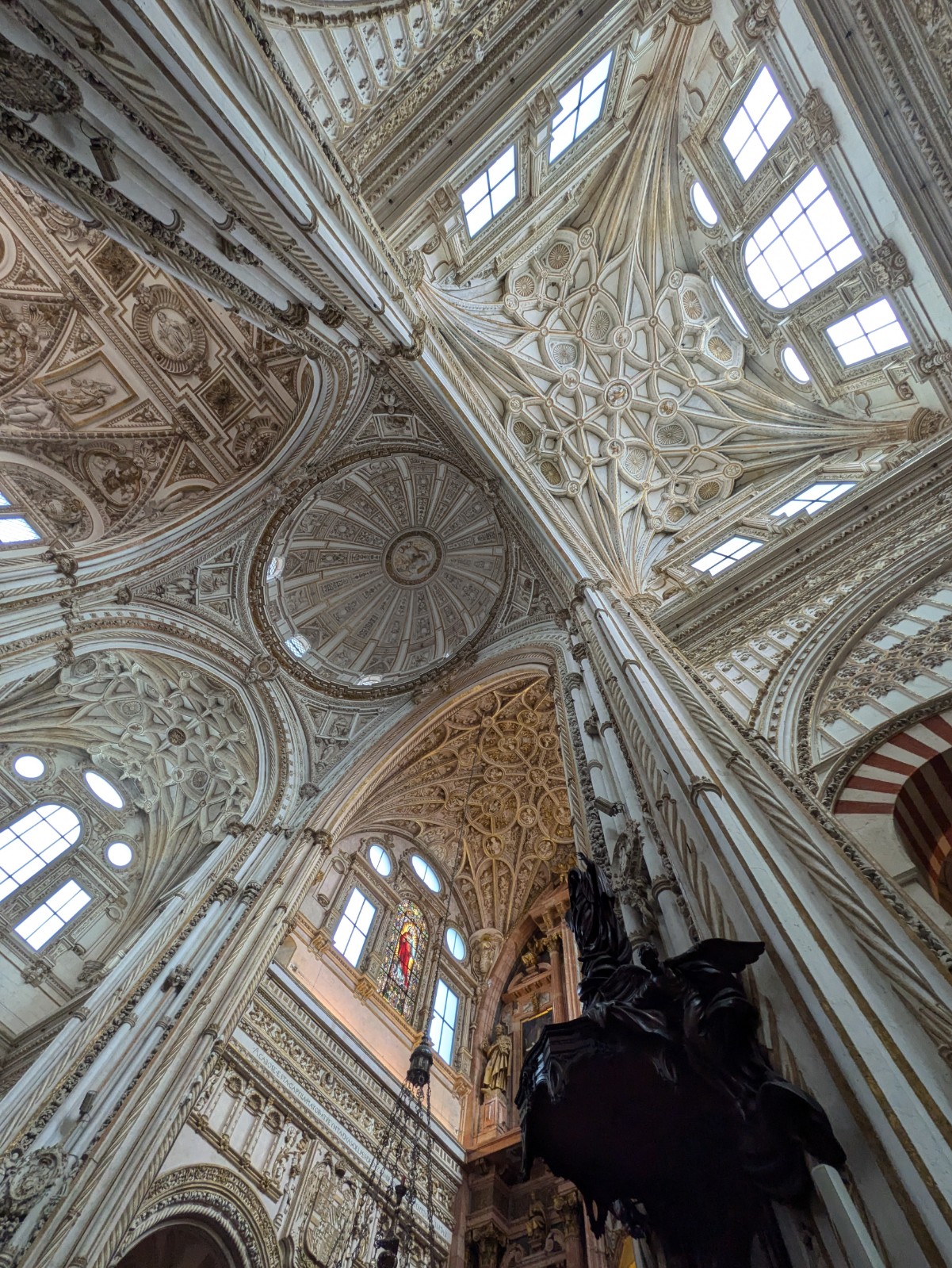 PXL 20241025 104629583