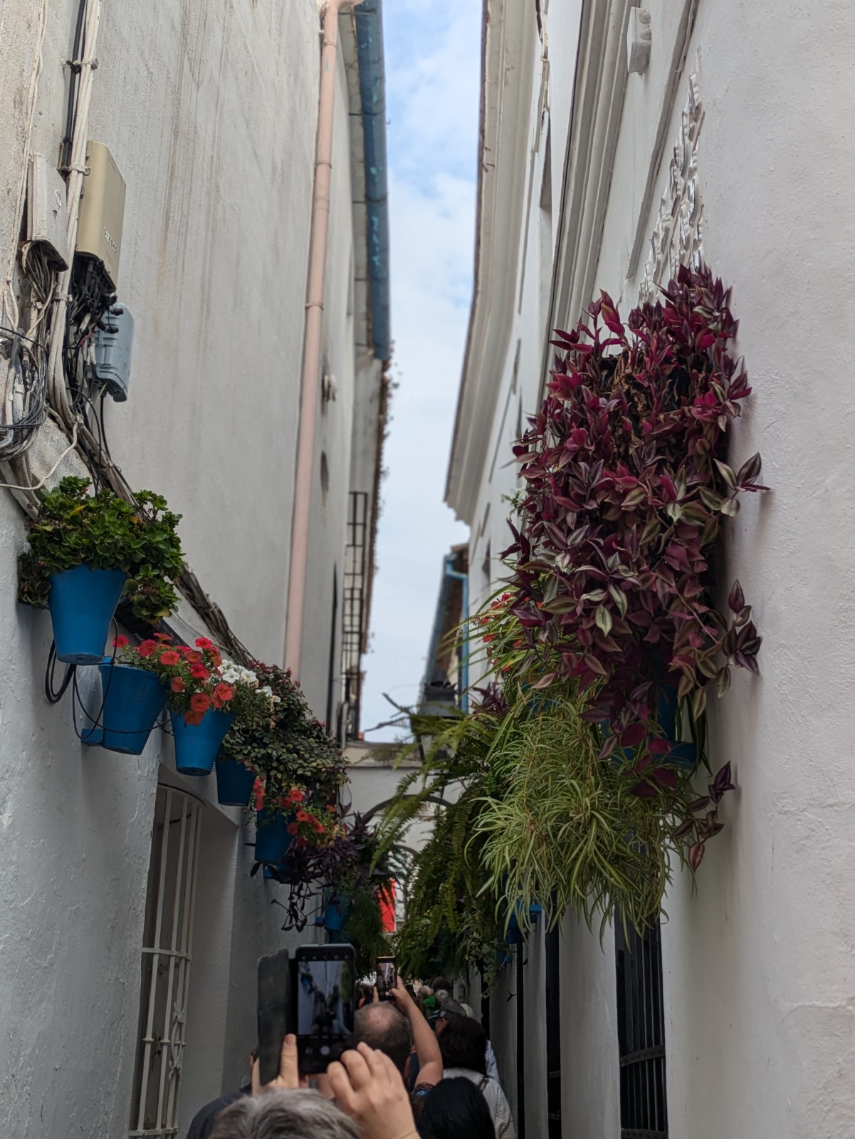 PXL 20241025 105720156.PORTRAIT