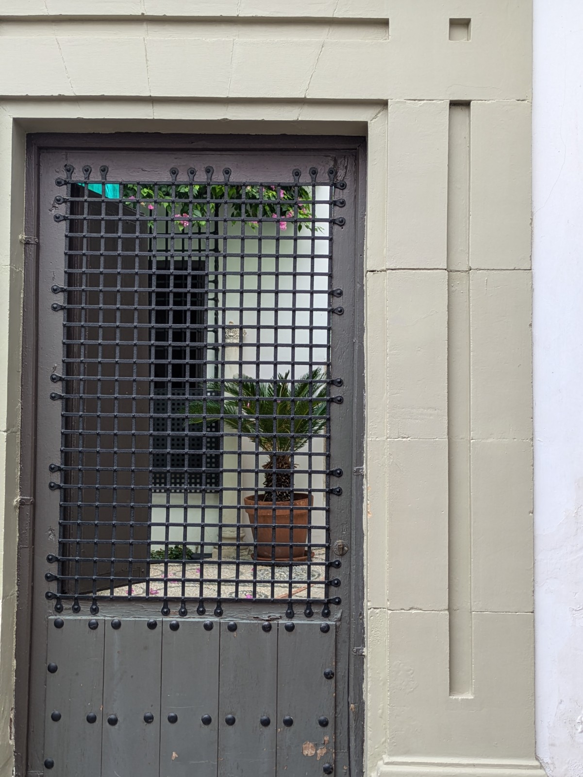 PXL 20241025 105908628.PORTRAIT.ORIGINAL