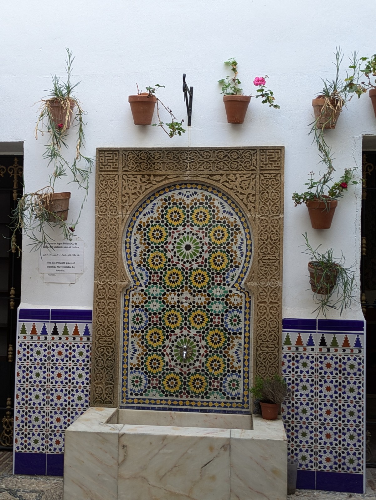 PXL 20241025 110551707.PORTRAIT.ORIGINAL